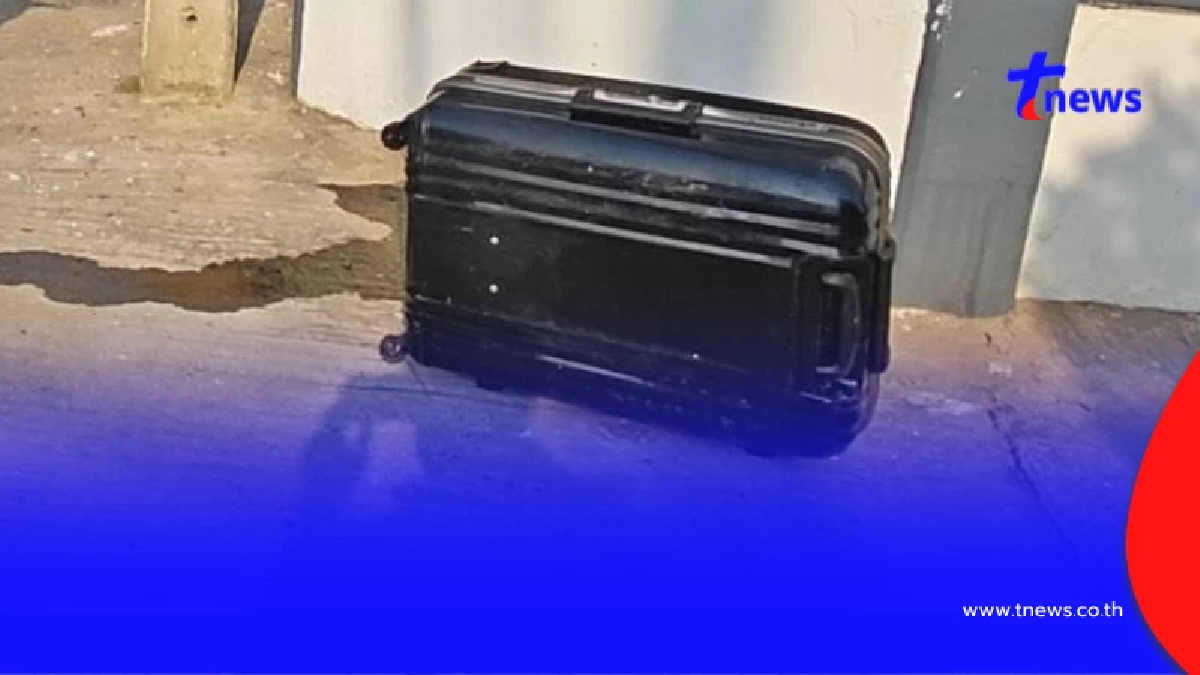 รู้แล้วสิ่งที่อยู่ในกระเป๋า ถึงว่ามีกลิ่นเหม็น - หนอนยั้วเยี้ย