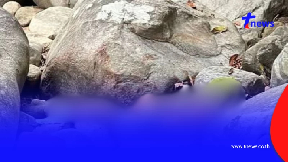 หนุ่มหลงป่า 7 วัน ขอชาวบ้านช่วย สุดท้ายดับ ผลชันสูตรยิ่งตกใจหนัก