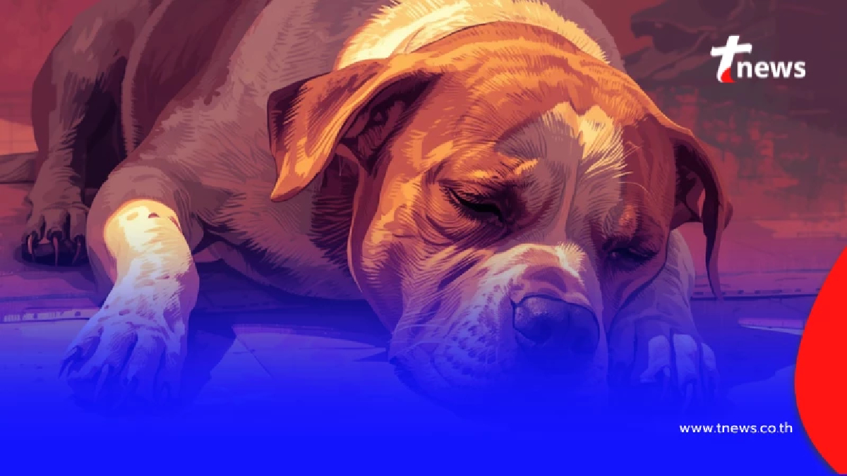 เช็ก 7 โรคอันตรายหน้าร้อน พร้อมวิธีป้องกันให้รอดจากฮีทสโตรก