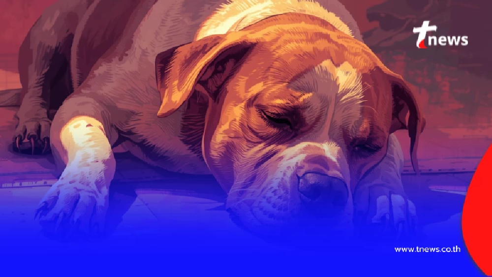 เช็ก 7 โรคอันตรายหน้าร้อน พร้อมวิธีป้องกันให้รอดจากฮีทสโตรก