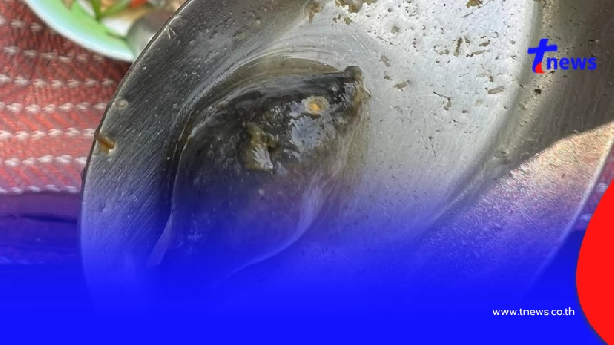 แห่เตือน ห้ามกินเด็ดขาด หลังหนุ่ม โพสต์ถาม "นี่คือปลาอะไร"