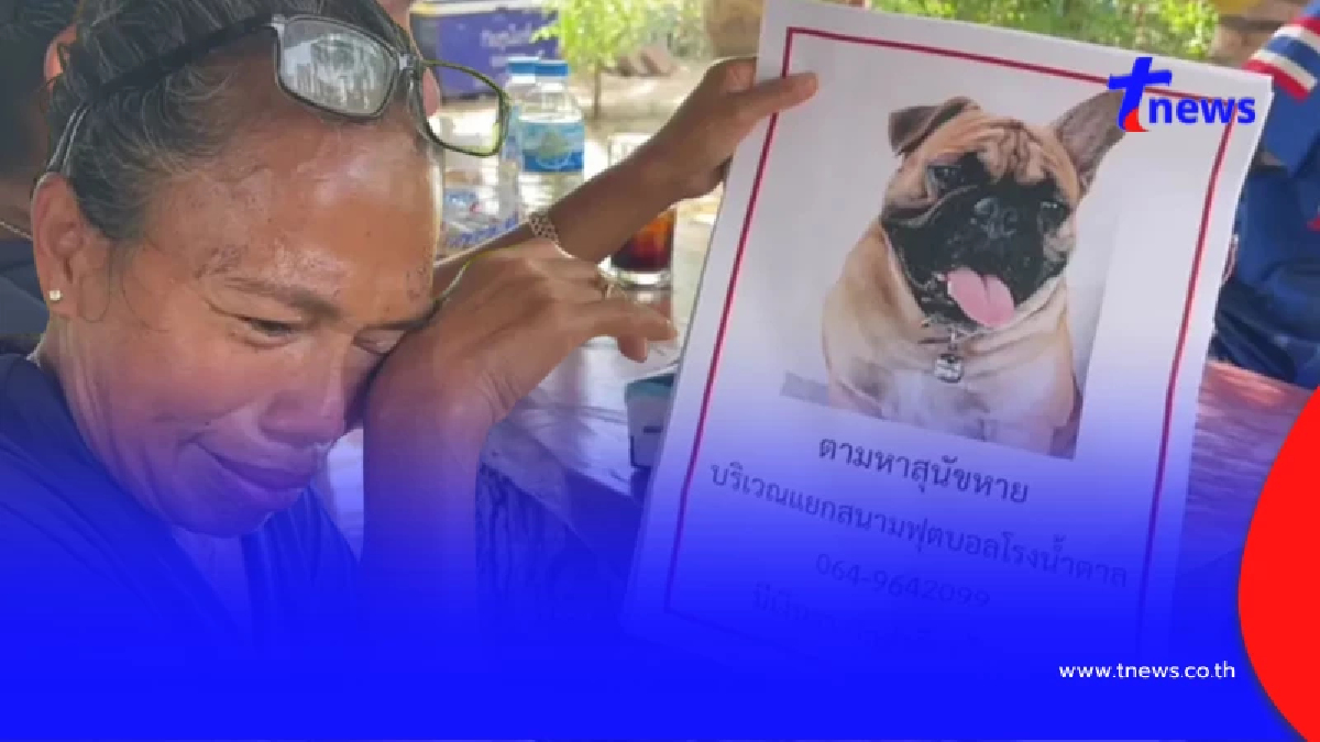 เจอตัว น้องกุนเชียง ที่เจ้าของตามหา เห็นภาพน้องล่าสุดยิ่งใจสลาย