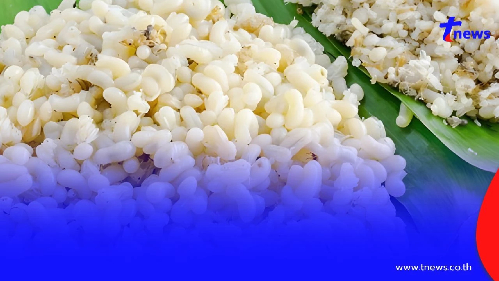 กรมอุทยานฯ แจงจับคนหาไข่มดแดง ย้ำ! "ช่วงปิดป่า" เหตุวิกฤตไฟป่า