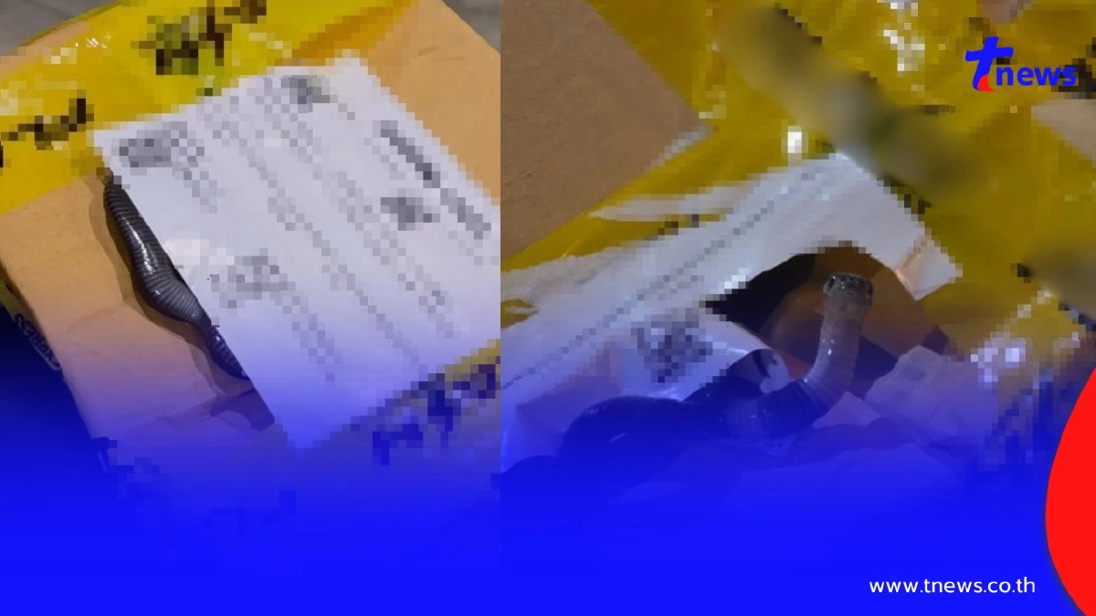 สาวแกะพัสดุ เจอตัวปริศนาติอยู่ในกล่อง รู้ตัวอะไรยิ่งขนลุก!