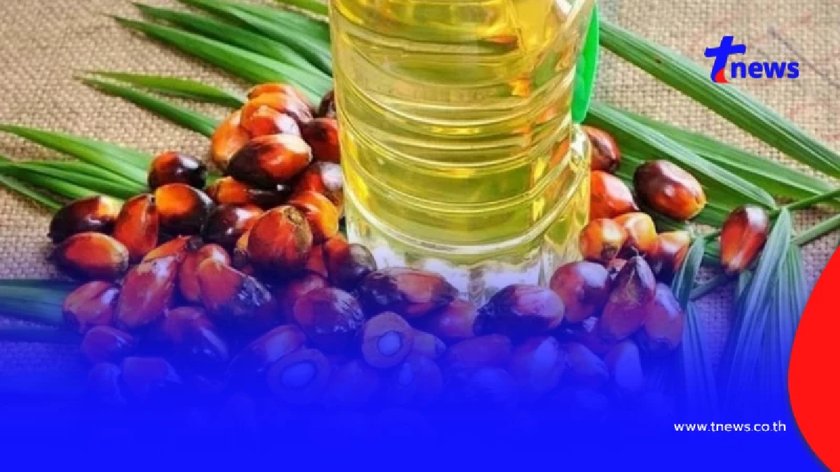 ราชกิจจาฯ ประกาศ ห้ามส่งออกน้ำมันปาล์มดิบ 1 ปี เริ่ม 7 เม.ย.69