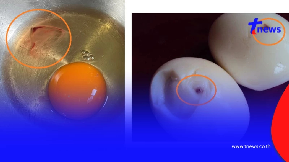 ถึงบางอ้อทันที "ตอกไข่" แล้วเจอจุดเลือด ยังกินได้หรือไม่