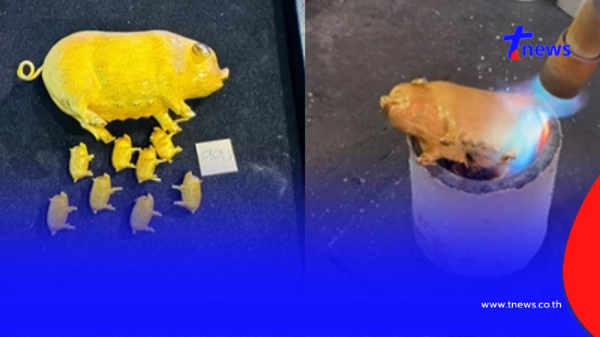 ลูกค้านำ ครอบครัวหมูทองคำ มองเผินๆ ดูน่ารัก ตีราคาออกมา ทุกคนตกใจ