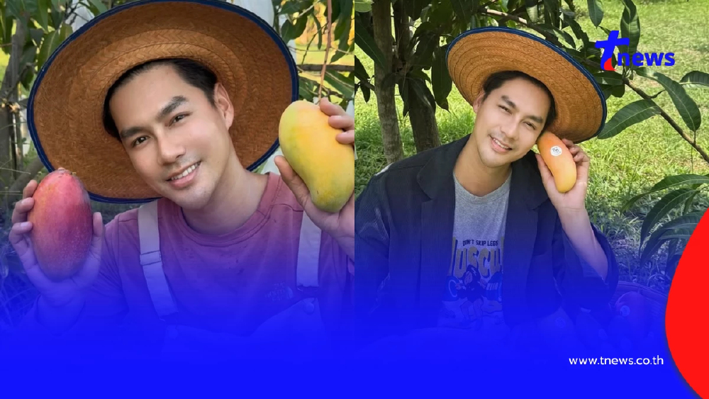 เพ็ชร ฐกฤต ตวันพงค์ พาเปิดสวนมะม่วง สอนเก็บผลแก่แบบมือโปร