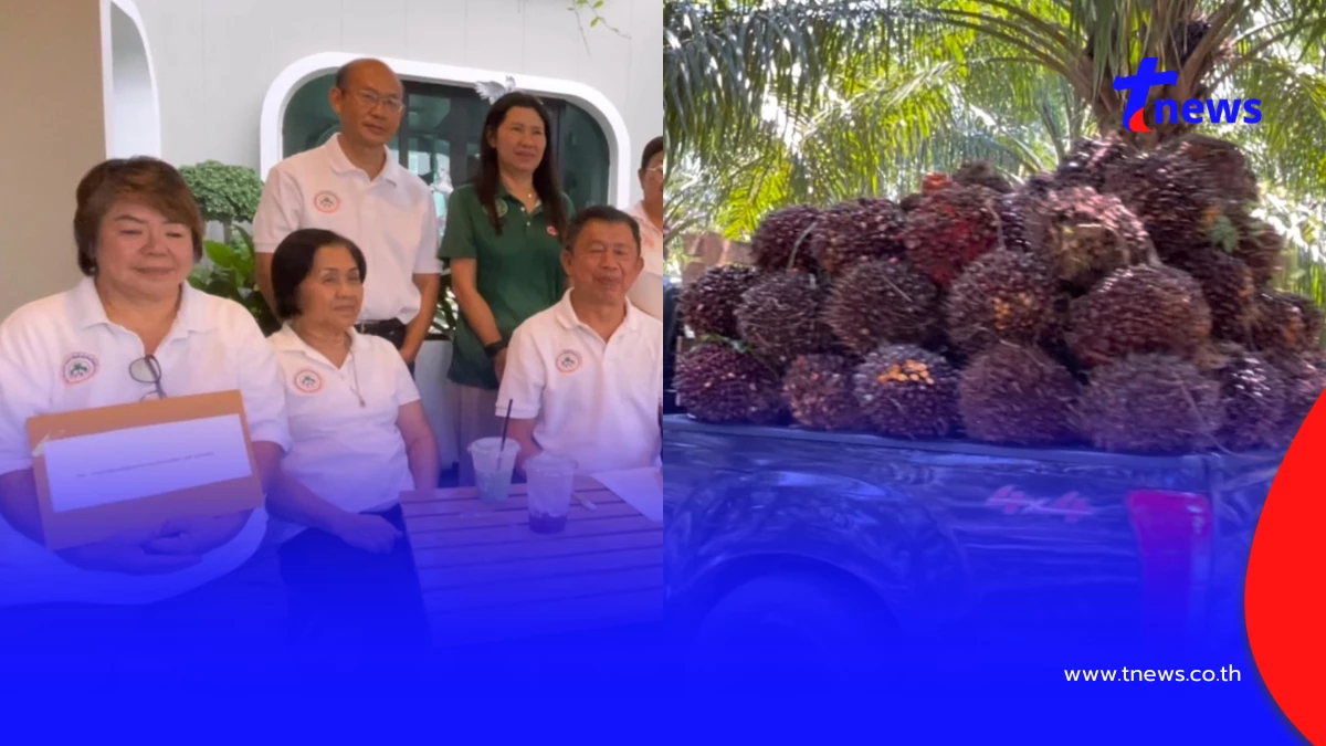 ชาวสวนปาล์มตรังฮือค้านห้ามส่งออก แฉบิดเบือนราคา-จี้รัฐแก้ไข