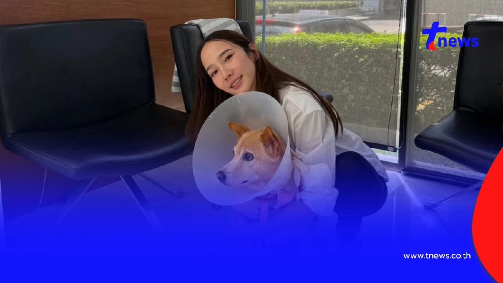 อั้ม พัชราภา ไชยเชื้อ เผยข่าวร้าย “เจ้าถั่ว” ป่วยมะเร็งลุกลาม