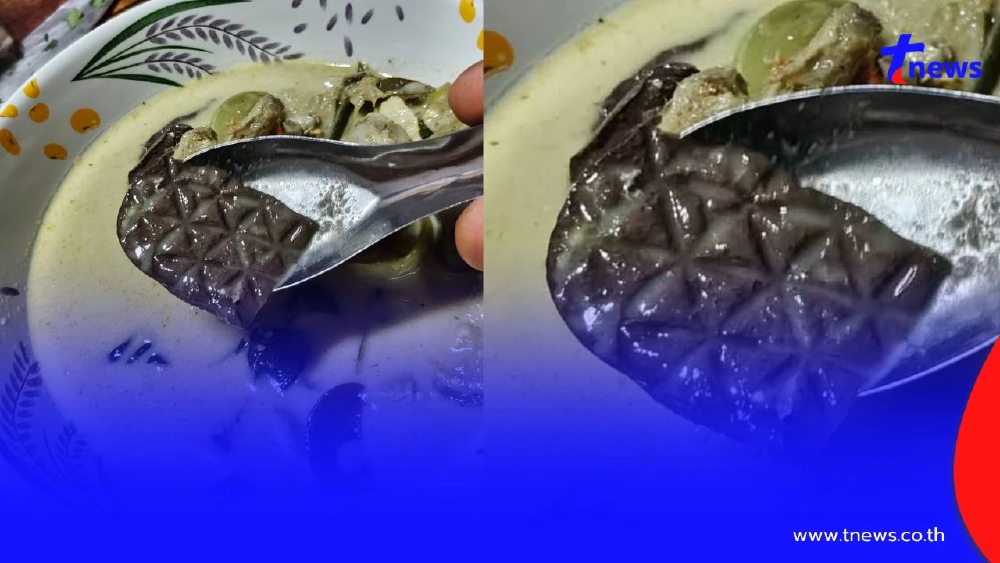 หนุ่มสั่งแกงเขียวหวานไก่ เจอเลือดคล้ายโดนเหยียบ แท้จริงผิดคาด