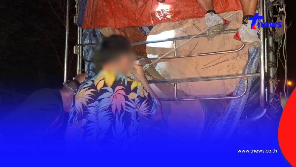 พยายามยัดเงินหวังรอด! รวบหนุ่มรับจ้างขนไม้ประดู่เถื่อนกลางดึก