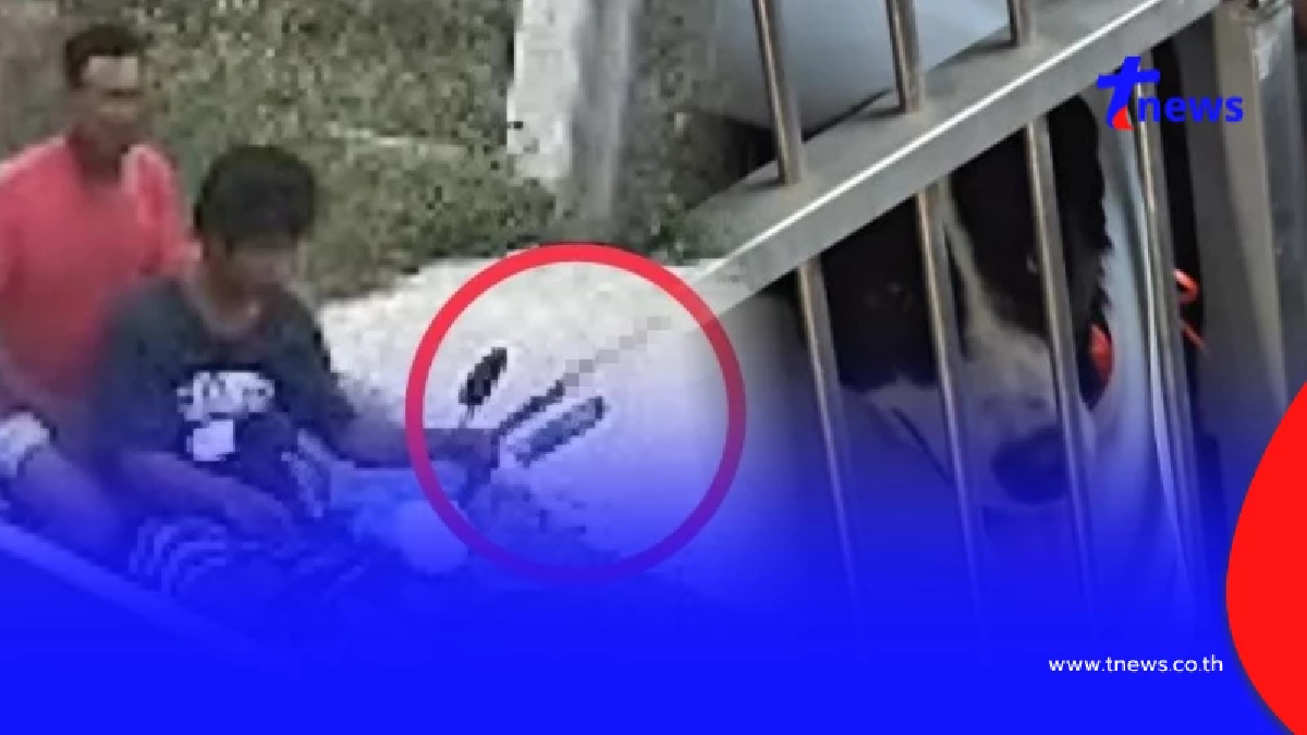 จับแล้วหนุ่มทำร้ายหมาจร หลักฐานมัดแน่น ข้ออ้างเหลือเชื่อ