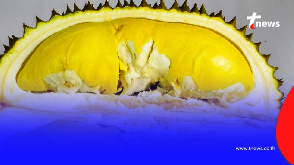 รักทุเรียนต้องรู้ 5 ข้อห้ามทานคู่ทุเรียน ใครมีโรคประจำตัวต้องระวัง