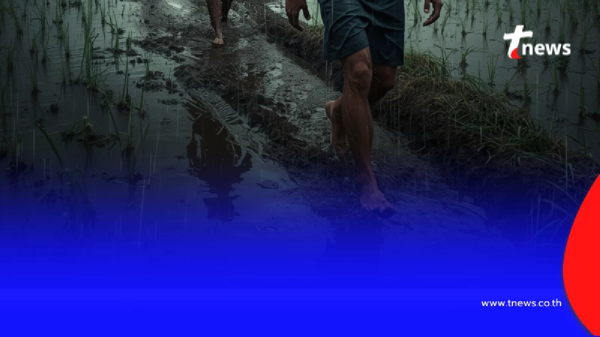 ทำไมหน้าฝนไม่ควรเดินเท้าเปล่า รู้จัก "โรคไข้ดิน" ภัยเงียบที่ป้องกันได้