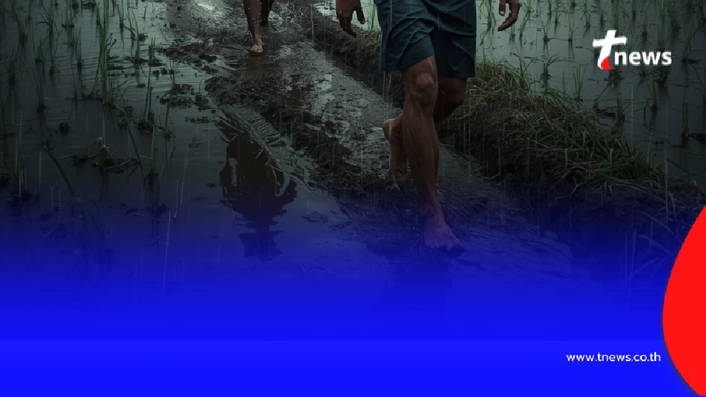 ทำไมหน้าฝนไม่ควรเดินเท้าเปล่า รู้จัก "โรคไข้ดิน" ภัยเงียบที่ป้องกันได้