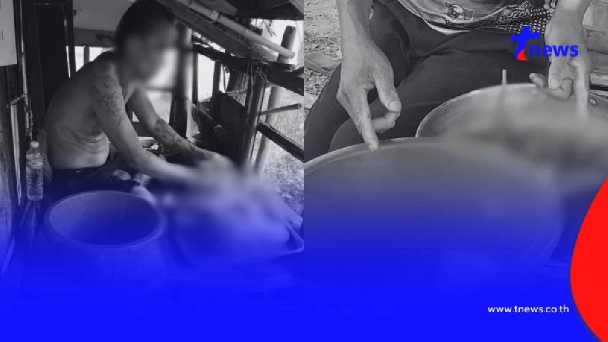 รวบคาเตา! ชายชำแหละเนื้อสุนัขอ้างเก็บซากมากิน ตรวจเจอฉี่ม่วง