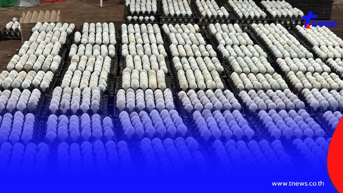 ทลายโกดังชายแดนอรัญฯ! รวบ 3 เอเย่นต์ ลอบขน "ไข่เป็ด-สินค้าเถื่อน"