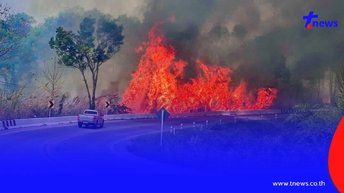 เลยอ่วม! PM2.5 พุ่งเกินมาตรฐาน ไฟป่าลุกลามหลายพื้นที่