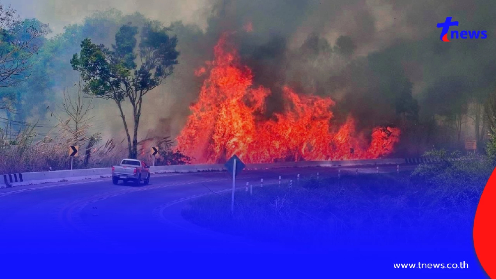 เลยอ่วม! PM2.5 พุ่งเกินมาตรฐาน ไฟป่าลุกลามหลายพื้นที่