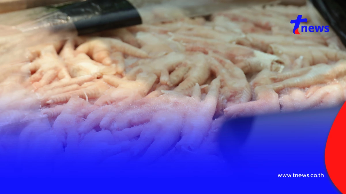 ยึดขาไก่เถื่อน 32 ตู้แหลมฉบัง 8.4 แสนกิโลฯ ไร้คนรับเป็นเจ้าของ