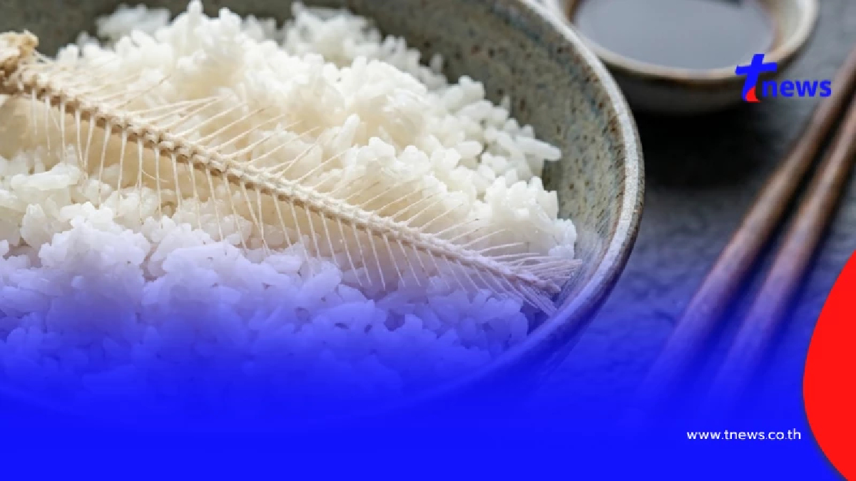 นั่นไง รู้สาเหตุแล้ว "ก้างปลาติดคอ" ทำไมมันถึง ทะลุออกนอกคอ ได้