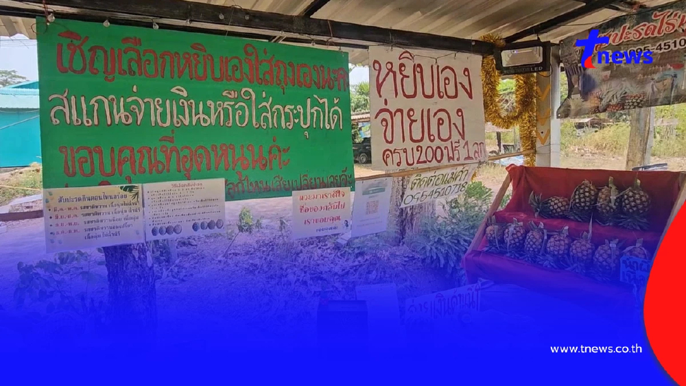 มิติใหม่! ร้านสับปะรดไร้คนเฝ้า 24 ชม. หยิบเองจ่ายเองวัดใจลูกค้า