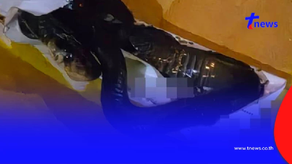 ลูกค้าเจอสัตว์หน้าแบ๊วติดมากับพัสดุ ขนลุก รู้ว่าน้องมาได้ยังไง