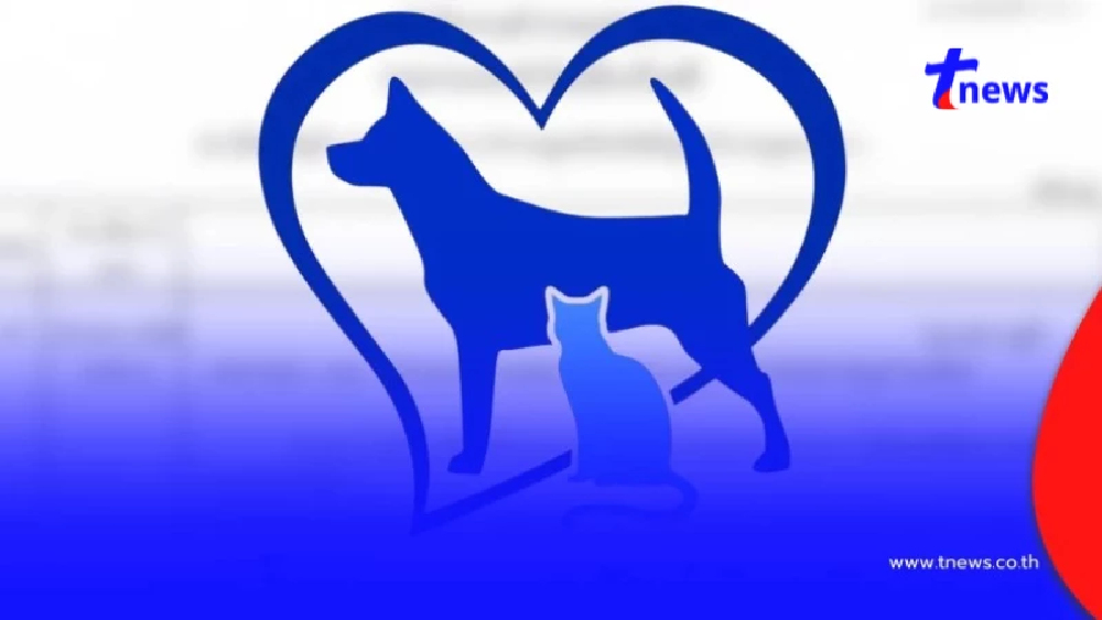 ดราม่าเดือด รพ.สัตวเปิด 5 ข้อโต้ ปมร้อน "น้องหมา" ดับ หลังผ่าตัด