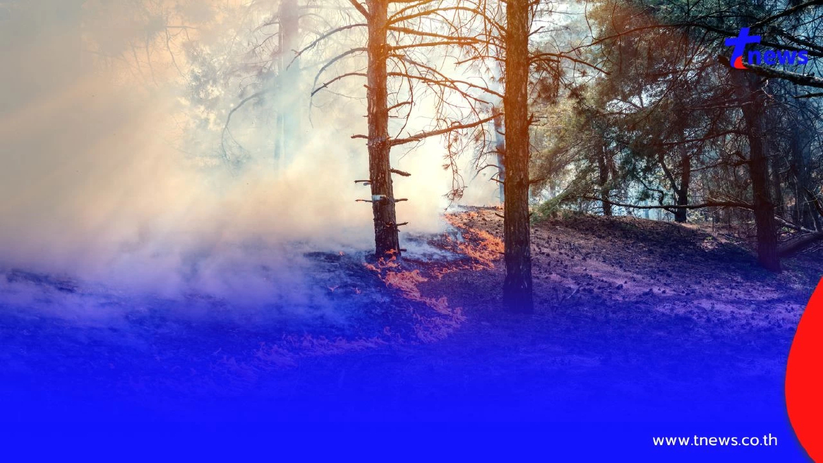 เผาป่าเสี่ยงคุกยาว! โทษหนักสูงสุด 20 ปี ปรับถึง 2 ล้านบาท