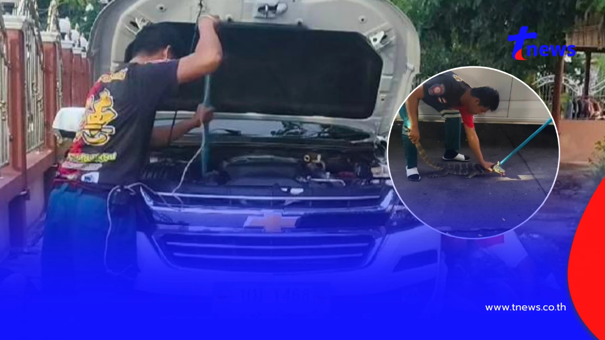 "ตัวเงินตัวทอง" วิ่งชนประตูบ้าน ก่อนวิ่งหนีเข้าห้องเครื่องรถ