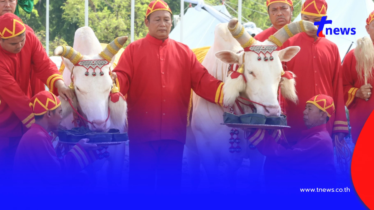 เลขมงคล "วันพืชมงคล 2569" พระราชพิธีจรดพระนังคัลแรกนาขวัญ