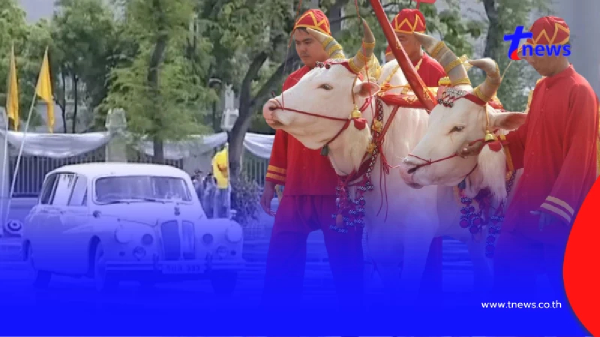 ทะเบียนรถยนต์พระที่นั่ง ในหลวง - พระราชินี เสด็จฯพิธีพืชมงคล 2569