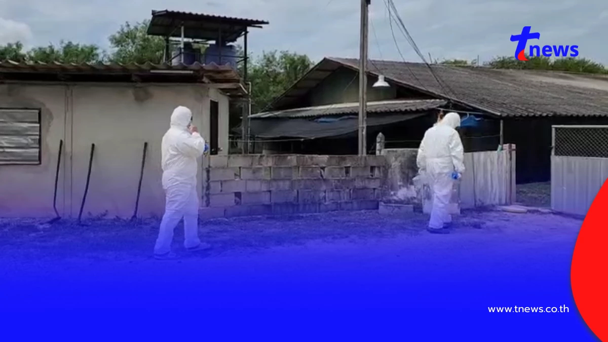 ลุยตรวจสอบฟาร์มไก่ หลังตายผิดปกติพุ่งเกิน 3% สั่งบันทึกกักสัตว์