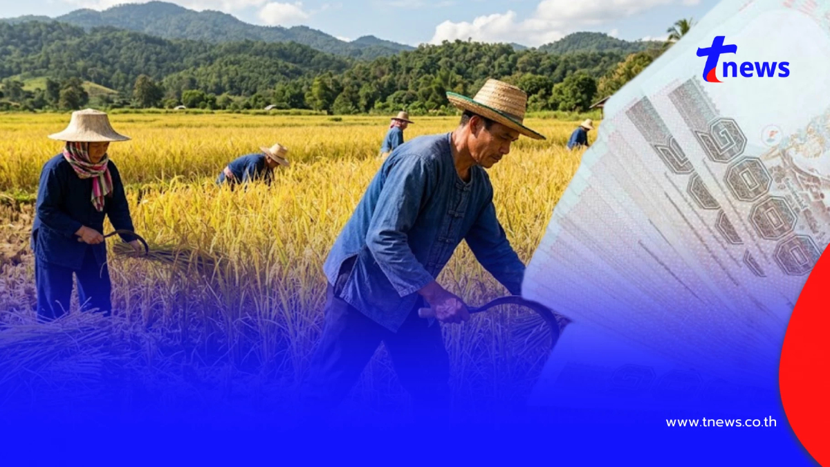"ขึ้นทะเบียนเกษตรกร 2569/70" รักษาสิทธิ รอรับเยียวยาจากภาครัฐ