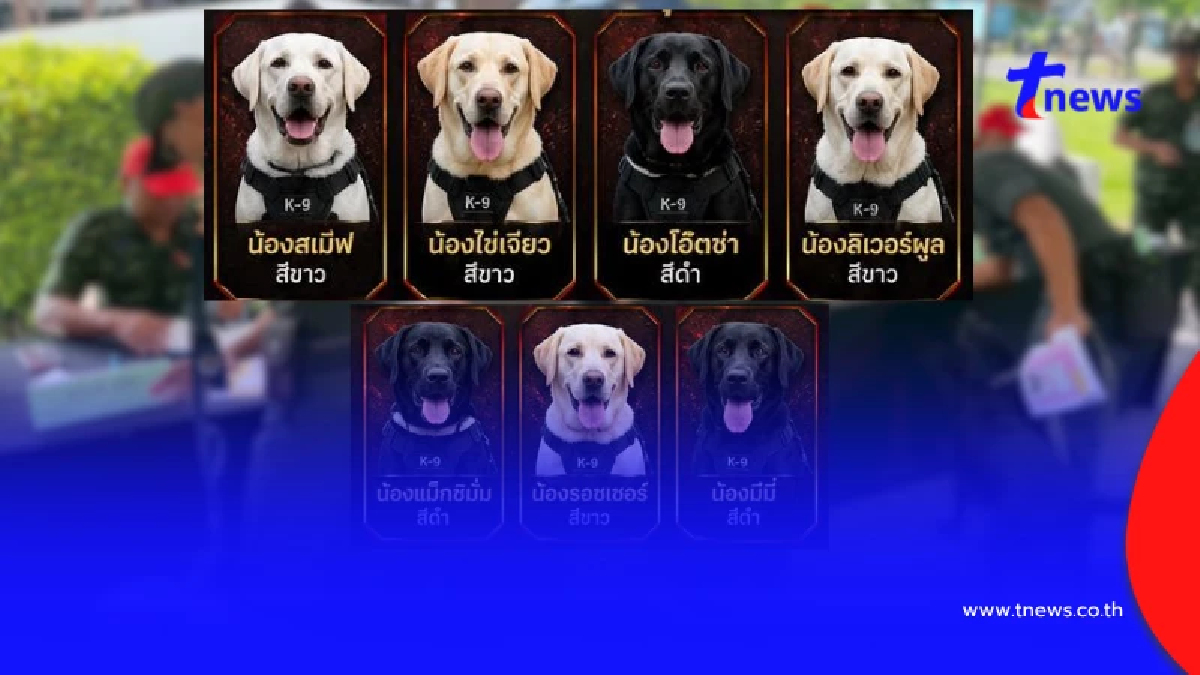ร่วมเชียร์ 7 สุนัข K9 พันธุ์แกร่ง แข่งขัน “Wardog Game 2026”