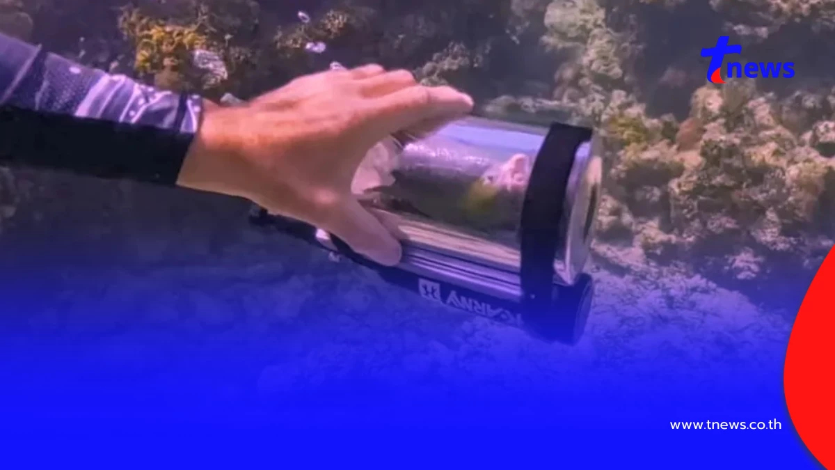 ไวรัลสนั่น หนุ่ม สร้างแคปซูลดำน้ำ พานกแก้วสุดรักชมปะการัง