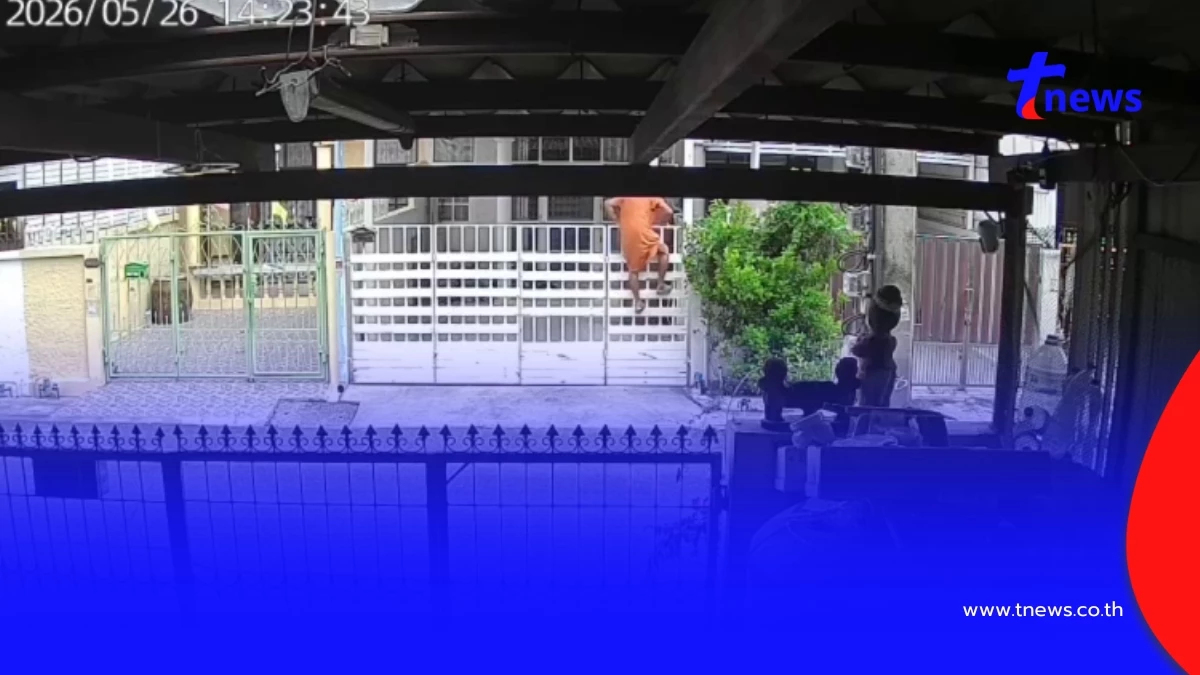 ป้านกพิราบเมินคำสั่งศาลปีนรั้วพังบ้านเพื่อนบ้านรอบ 3