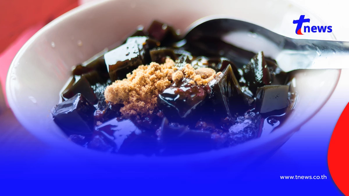 ไขข้อสงสัย เฉาก๊วย ทำจากอะไร ไม่ใช่วุ้นอย่างที่หลายคนคิด