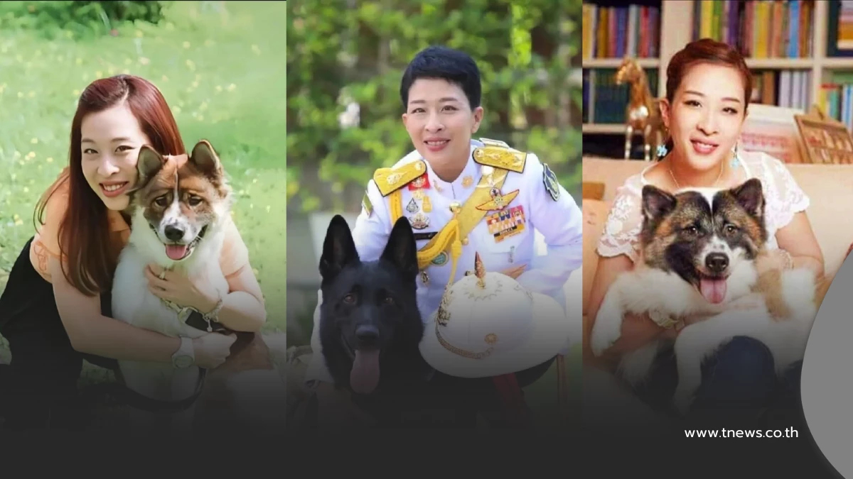 น้อมอาลัย "พระองค์ภา" รำลึกน้ำพระทัยชุบชีวิต 5 สุนัขทรงเลี้ยง