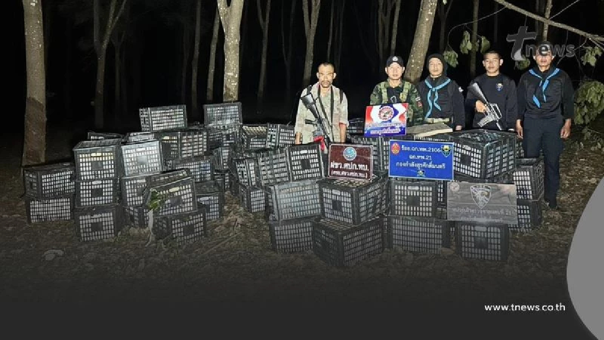 ลอบข้ามชายแดนไม่รอด! ทหารพรานยึดอาโวคาโดเถื่อนเกือบ 4 ตัน