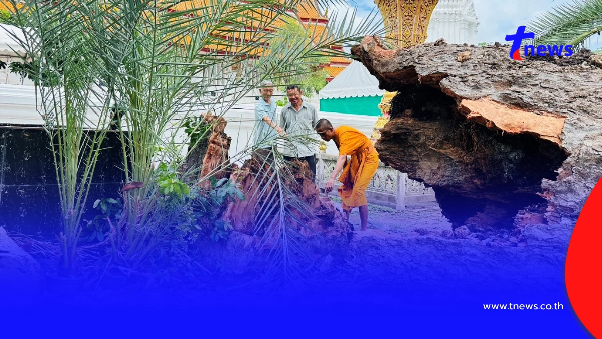 เชื่อบารมีหลวงปู่เทียม! พายุซัดยางนา 120 ปีโค่นเฉียดอุโบสถเก่า