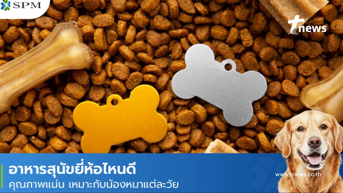 อาหารสุนัขยี่ห้อไหนดี เหมาะกับทุกช่วงวัย คุณภาพแน่น ราคาคุ้ม