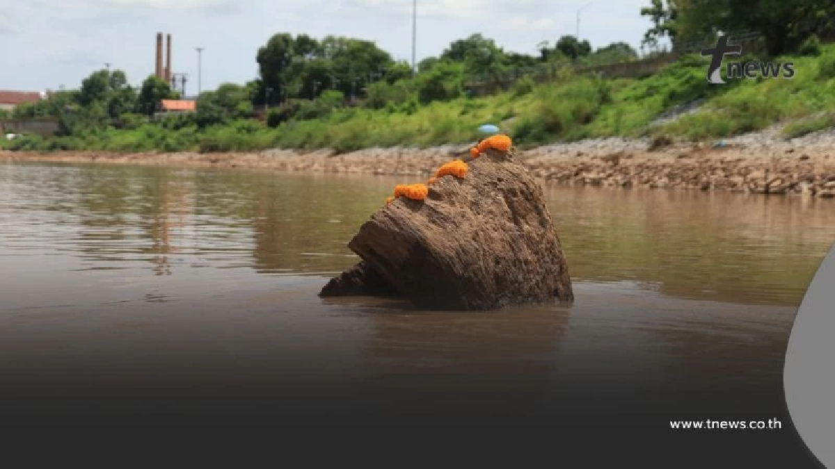 ฮือฮา! แม่น้ำน่านลดฮวบ เผยโฉม "ตะเคียนพันปี" กลางแม่น้ำ