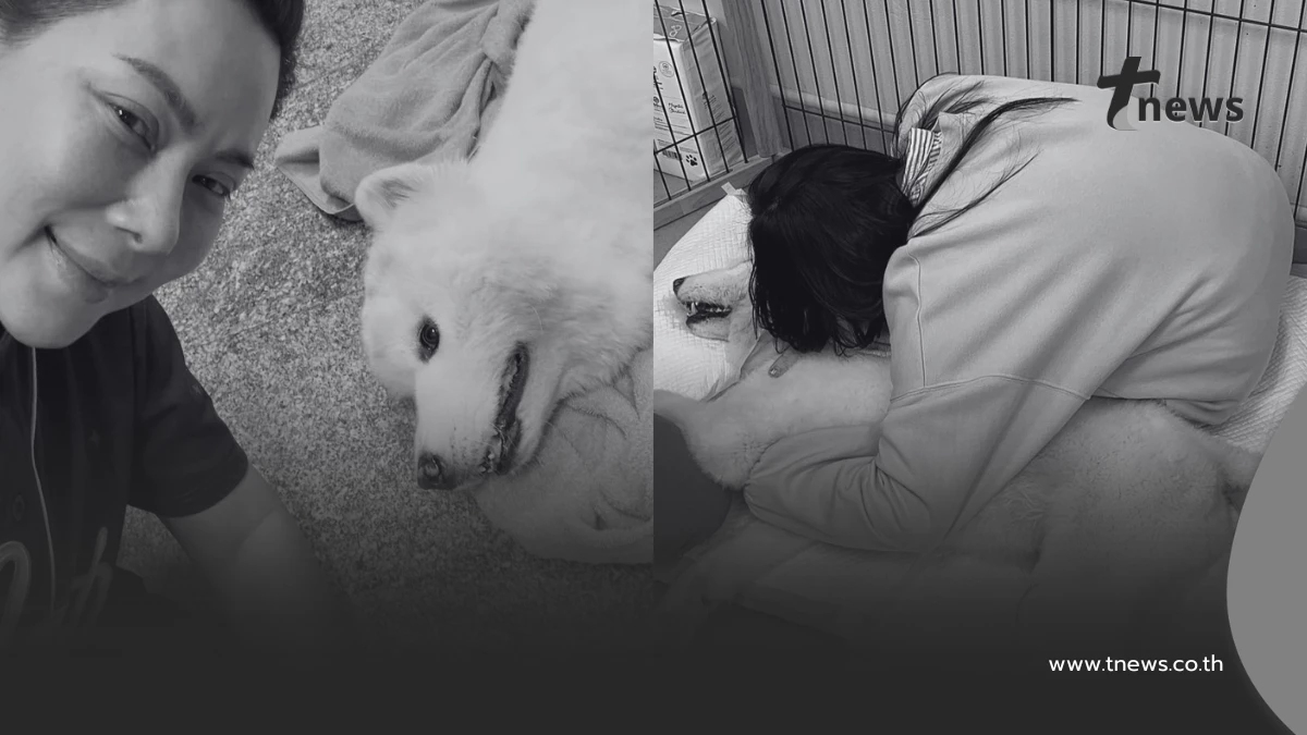 บุ๋ม ปนัดดา เศร้าส่งน้องปูนึ่งกลับดาวหมา เสียใจติดงานชายแดน