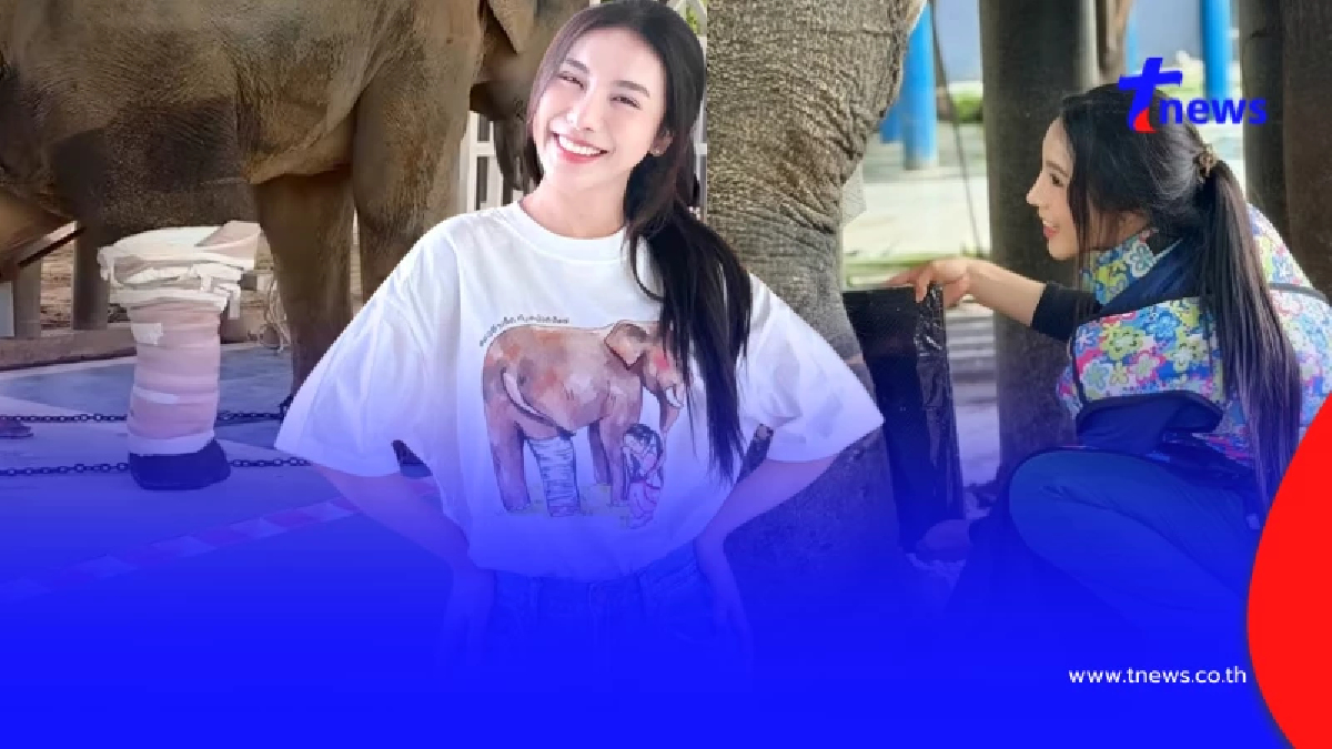 เฮทั้งโซเชียล "พี่เดียว" มีข่าวดี หมอโบว์เผยผลล่าสุด สู้มา 4 เดือน