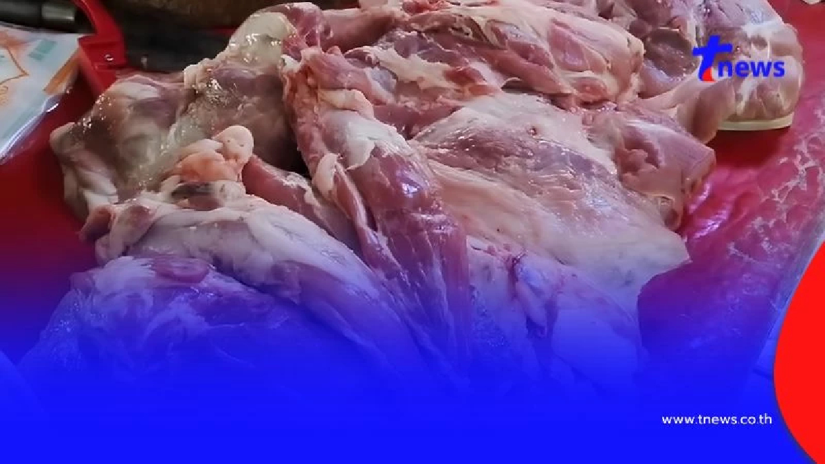 สธ.แพร่เตือนไข้หมูดิบระบาดหนัก! ป่วยแล้ว 40 ราย ดับ 5 ราย