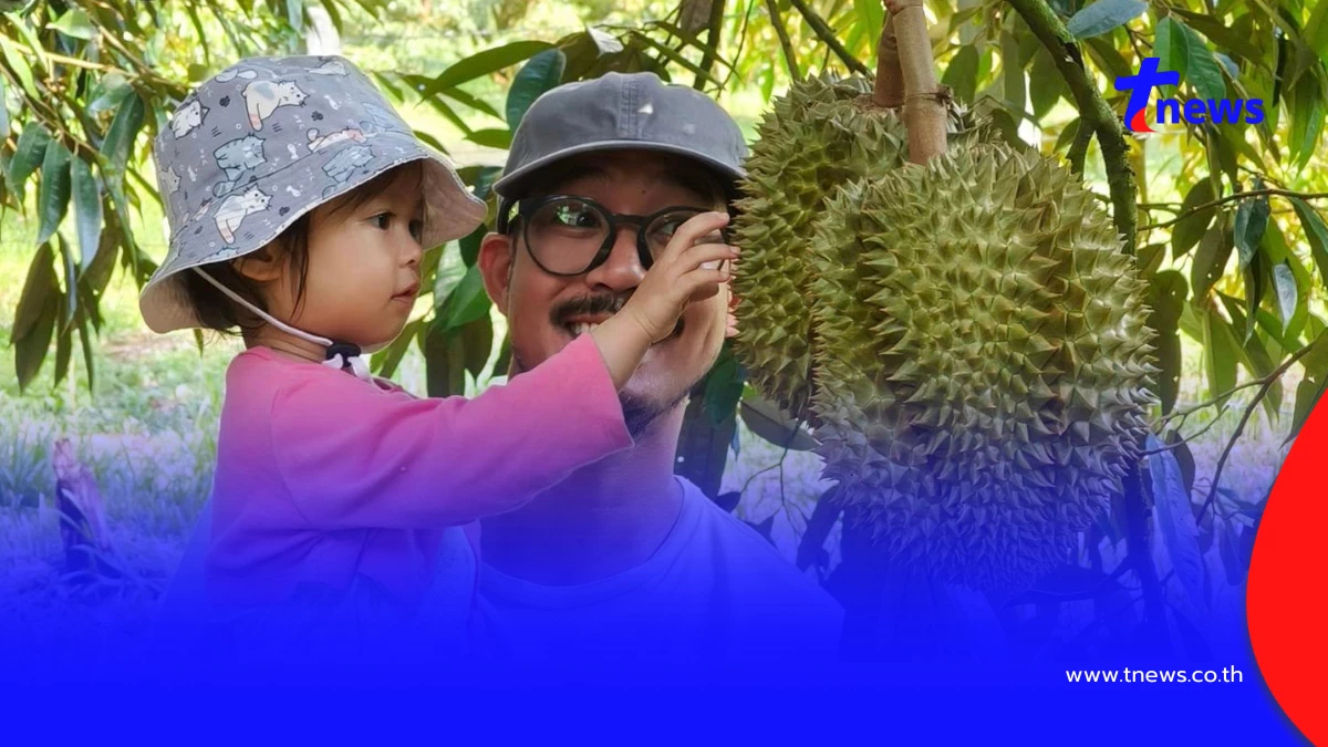 ดกจริงปีนี้! "เวียร์ ศุกลวัฒน์" อวดทุเรียนหมอนทองสวนคณารศ