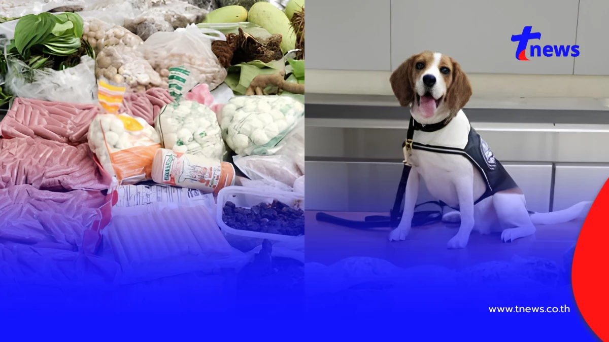 K9 สหรัฐฯ  โชว์ผลงาน  ตรวจกระเป๋าบินตรงจากไทย ยึดของล็อตใหญ่