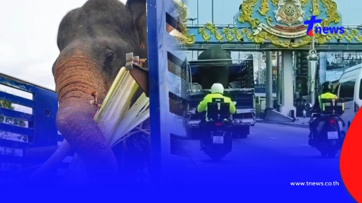 สุดตื้นตัน ทีม MOTORLANCE THAILAND ร่วมภารกิจส่งพลายไข่แดง